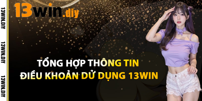 Tổng Hợp Thông Tin Điều Khoản Dử dụng 13win